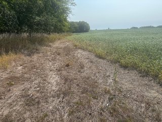 Property photo 13 - LAND AUCTION-121+/- ACRES OFFERED IN 4 TRACTS IN DEFIANCE COUNTY OHIO