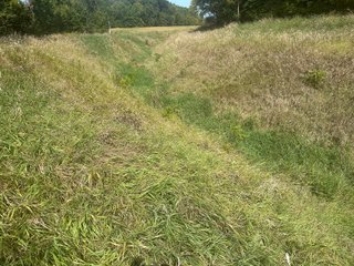 Property photo 12 - LAND AUCTION-121+/- ACRES OFFERED IN 4 TRACTS IN DEFIANCE COUNTY OHIO