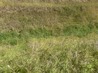 Property photo 11 - LAND AUCTION-121+/- ACRES OFFERED IN 4 TRACTS IN DEFIANCE COUNTY OHIO