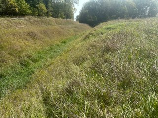 Property photo 10 - LAND AUCTION-121+/- ACRES OFFERED IN 4 TRACTS IN DEFIANCE COUNTY OHIO
