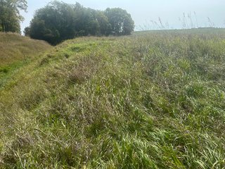 Property photo 9 - LAND AUCTION-121+/- ACRES OFFERED IN 4 TRACTS IN DEFIANCE COUNTY OHIO