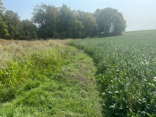 Property photo 8 - LAND AUCTION-121+/- ACRES OFFERED IN 4 TRACTS IN DEFIANCE COUNTY OHIO