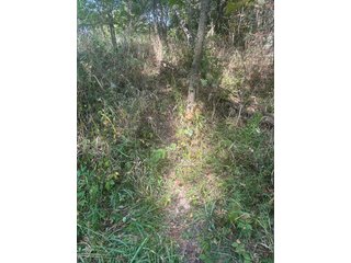 Property photo 14 - LAND AUCTION-121+/- ACRES OFFERED IN 4 TRACTS IN DEFIANCE COUNTY OHIO