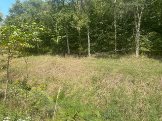 Property photo 41 - LAND AUCTION-121+/- ACRES OFFERED IN 4 TRACTS IN DEFIANCE COUNTY OHIO