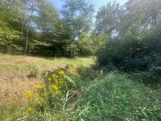 Property photo 40 - LAND AUCTION-121+/- ACRES OFFERED IN 4 TRACTS IN DEFIANCE COUNTY OHIO