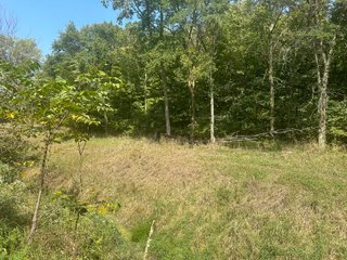 Property photo 39 - LAND AUCTION-121+/- ACRES OFFERED IN 4 TRACTS IN DEFIANCE COUNTY OHIO