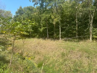 Property photo 38 - LAND AUCTION-121+/- ACRES OFFERED IN 4 TRACTS IN DEFIANCE COUNTY OHIO