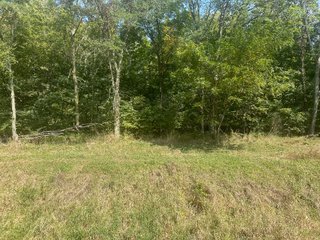 Property photo 37 - LAND AUCTION-121+/- ACRES OFFERED IN 4 TRACTS IN DEFIANCE COUNTY OHIO