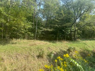 Property photo 36 - LAND AUCTION-121+/- ACRES OFFERED IN 4 TRACTS IN DEFIANCE COUNTY OHIO