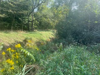 Property photo 35 - LAND AUCTION-121+/- ACRES OFFERED IN 4 TRACTS IN DEFIANCE COUNTY OHIO