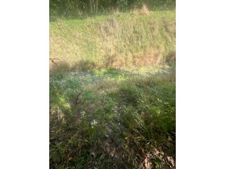 Property photo 34 - LAND AUCTION-121+/- ACRES OFFERED IN 4 TRACTS IN DEFIANCE COUNTY OHIO