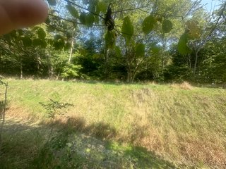 Property photo 33 - LAND AUCTION-121+/- ACRES OFFERED IN 4 TRACTS IN DEFIANCE COUNTY OHIO