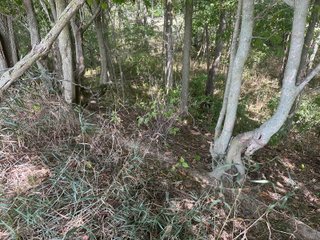 Property photo 32 - LAND AUCTION-121+/- ACRES OFFERED IN 4 TRACTS IN DEFIANCE COUNTY OHIO