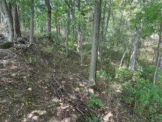 Property photo 31 - LAND AUCTION-121+/- ACRES OFFERED IN 4 TRACTS IN DEFIANCE COUNTY OHIO