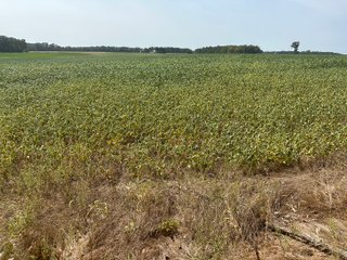 Property photo 30 - LAND AUCTION-121+/- ACRES OFFERED IN 4 TRACTS IN DEFIANCE COUNTY OHIO