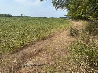 Property photo 29 - LAND AUCTION-121+/- ACRES OFFERED IN 4 TRACTS IN DEFIANCE COUNTY OHIO