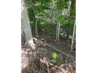 Property photo 28 - LAND AUCTION-121+/- ACRES OFFERED IN 4 TRACTS IN DEFIANCE COUNTY OHIO