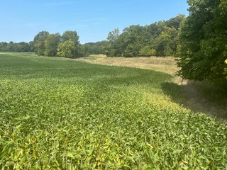 Property photo 27 - LAND AUCTION-121+/- ACRES OFFERED IN 4 TRACTS IN DEFIANCE COUNTY OHIO