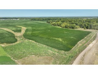 Property photo 42 - LAND AUCTION-121+/- ACRES OFFERED IN 4 TRACTS IN DEFIANCE COUNTY OHIO