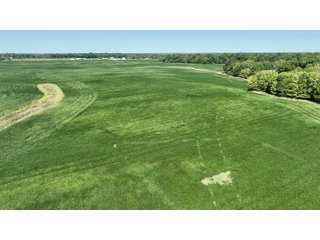 Property photo 53 - LAND AUCTION-121+/- ACRES OFFERED IN 4 TRACTS IN DEFIANCE COUNTY OHIO