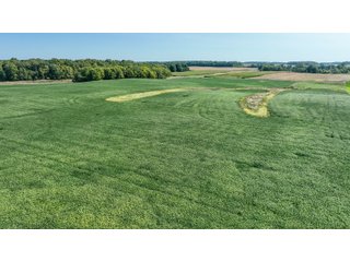 Property photo 51 - LAND AUCTION-121+/- ACRES OFFERED IN 4 TRACTS IN DEFIANCE COUNTY OHIO