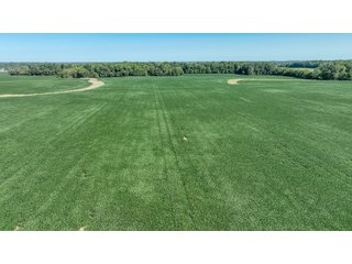 Property photo 50 - LAND AUCTION-121+/- ACRES OFFERED IN 4 TRACTS IN DEFIANCE COUNTY OHIO