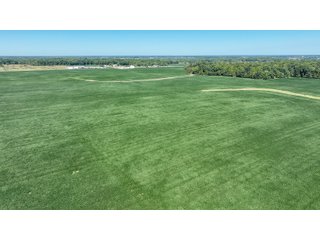 Property photo 48 - LAND AUCTION-121+/- ACRES OFFERED IN 4 TRACTS IN DEFIANCE COUNTY OHIO