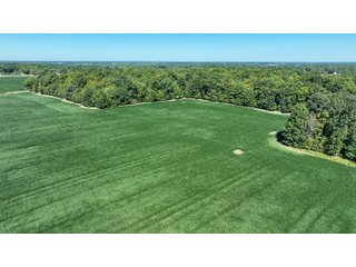 Property photo 47 - LAND AUCTION-121+/- ACRES OFFERED IN 4 TRACTS IN DEFIANCE COUNTY OHIO