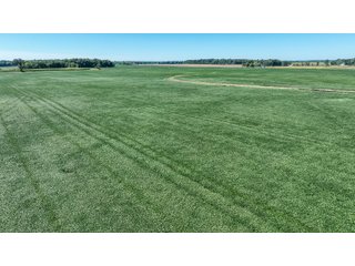 Property photo 46 - LAND AUCTION-121+/- ACRES OFFERED IN 4 TRACTS IN DEFIANCE COUNTY OHIO