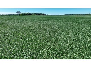 Property photo 1 - LAND AUCTION-121+/- ACRES OFFERED IN 4 TRACTS IN DEFIANCE COUNTY OHIO