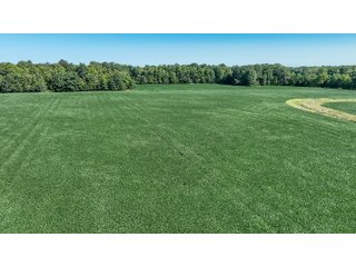 Property photo 45 - LAND AUCTION-121+/- ACRES OFFERED IN 4 TRACTS IN DEFIANCE COUNTY OHIO