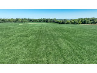 Property photo 44 - LAND AUCTION-121+/- ACRES OFFERED IN 4 TRACTS IN DEFIANCE COUNTY OHIO