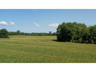 Property photo 29 - LAND AUCTION - 76+/- Acres Offered In 5 Tracts In LaPorte County Indiana