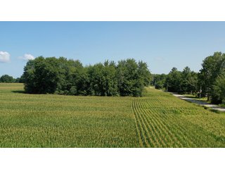 Property photo 28 - LAND AUCTION - 76+/- Acres Offered In 5 Tracts In LaPorte County Indiana
