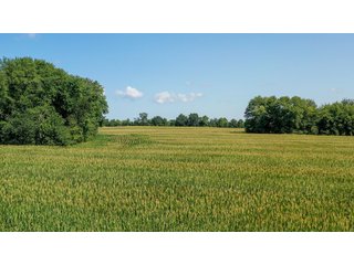 Property photo 27 - LAND AUCTION - 76+/- Acres Offered In 5 Tracts In LaPorte County Indiana