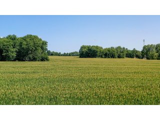 Property photo 26 - LAND AUCTION - 76+/- Acres Offered In 5 Tracts In LaPorte County Indiana