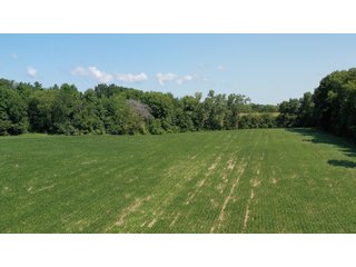 Property photo 24 - LAND AUCTION - 76+/- Acres Offered In 5 Tracts In LaPorte County Indiana
