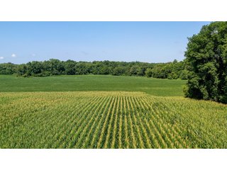Property photo 23 - LAND AUCTION - 76+/- Acres Offered In 5 Tracts In LaPorte County Indiana