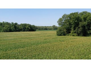 Property photo 22 - LAND AUCTION - 76+/- Acres Offered In 5 Tracts In LaPorte County Indiana