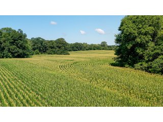 Property photo 21 - LAND AUCTION - 76+/- Acres Offered In 5 Tracts In LaPorte County Indiana