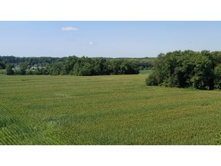Property photo 20 - LAND AUCTION - 76+/- Acres Offered In 5 Tracts In LaPorte County Indiana