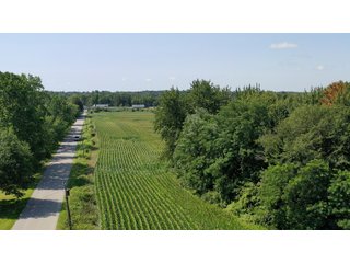 Property photo 19 - LAND AUCTION - 76+/- Acres Offered In 5 Tracts In LaPorte County Indiana