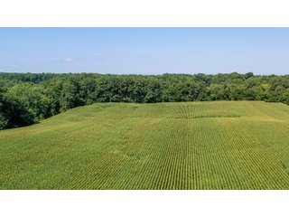 Property photo 18 - LAND AUCTION - 76+/- Acres Offered In 5 Tracts In LaPorte County Indiana
