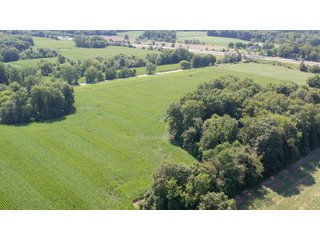 Property photo 16 - LAND AUCTION - 76+/- Acres Offered In 5 Tracts In LaPorte County Indiana