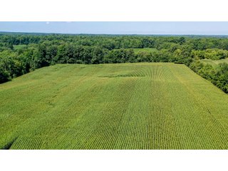 Property photo 3 - LAND AUCTION - 76+/- Acres Offered In 5 Tracts In LaPorte County Indiana