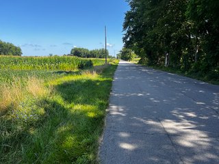 Property photo 2 - LAND AUCTION - 76+/- Acres Offered In 5 Tracts In LaPorte County Indiana