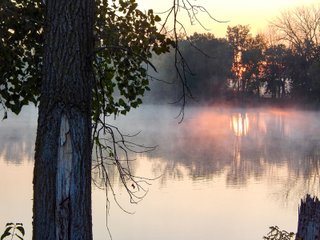 Property photo 36 - REAL ESTATE AUCTION OFFERED IN 3 TRACTS IN WABASH COUNTY, INDIANA