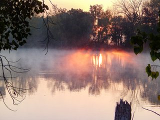 Property photo 38 - REAL ESTATE AUCTION OFFERED IN 3 TRACTS IN WABASH COUNTY, INDIANA
