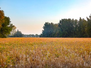 Property photo 12 - REAL ESTATE AUCTION OFFERED IN 3 TRACTS IN WABASH COUNTY, INDIANA