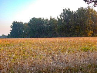 Property photo 11 - REAL ESTATE AUCTION OFFERED IN 3 TRACTS IN WABASH COUNTY, INDIANA